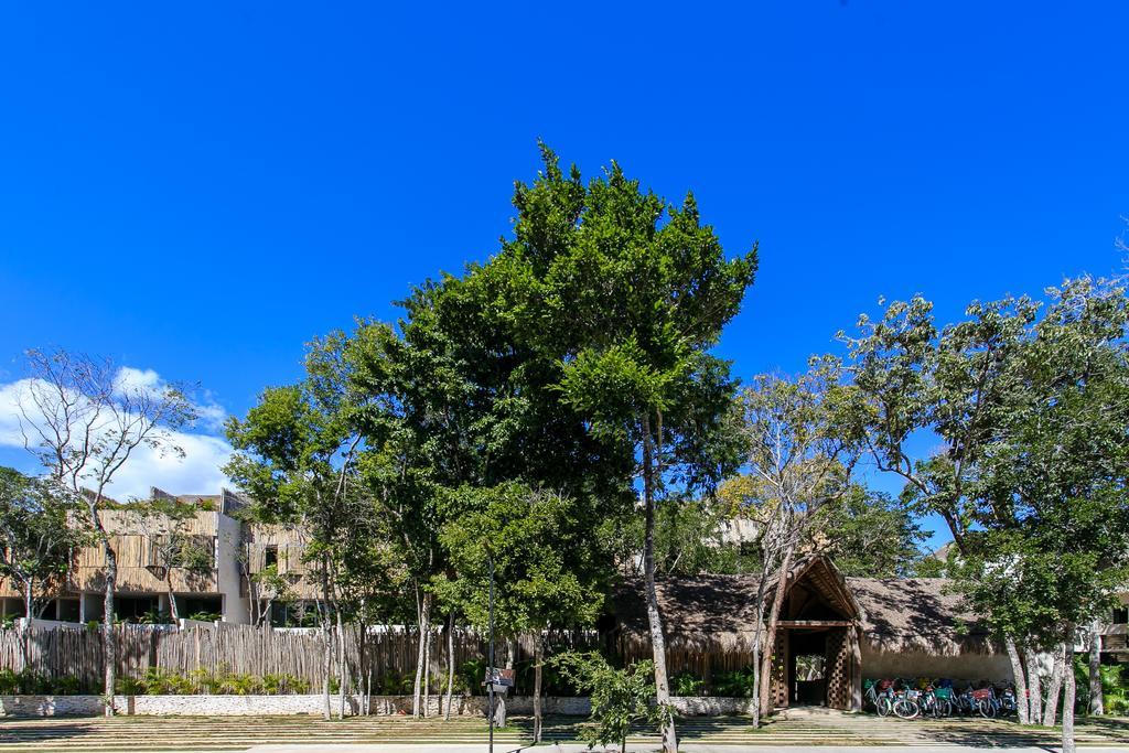 Eco-Chic Design Condos Wrapped In Nature'S Elements By Stella Rentals Tulum Ngoại thất bức ảnh